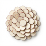 Tora Root Sliced (Arvi) – 350g | VeggieCuts